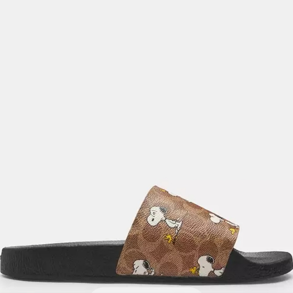 Coach Slides - Picture 4 of 4